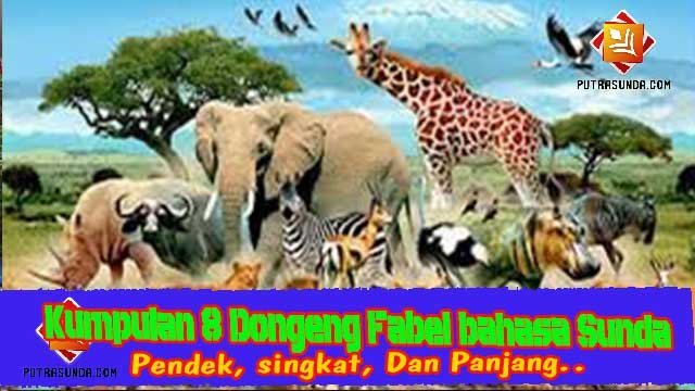 87+ Gambar Binatang Lucu Bahasa Sunda Kekinian