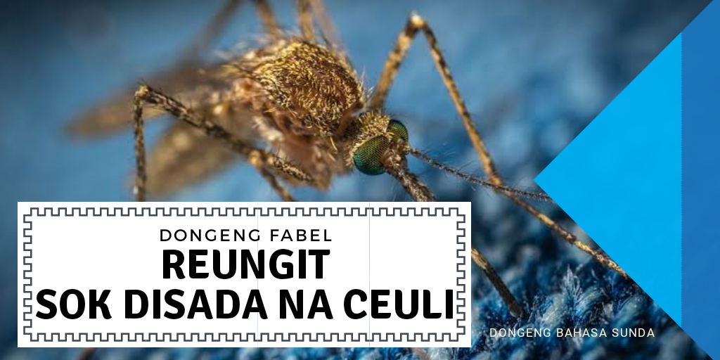 Dongeng Fabel Sasakala Bahasa Sunda Kisah Nyamuk Beserta Hikmah Dan Pesan Moralnya