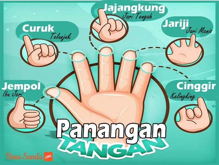 Nama-Nama Jari Tangan Bahasa Sunda
