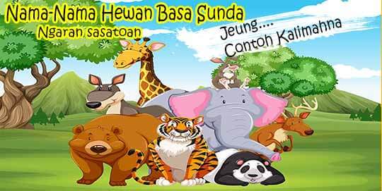 Nama Hewan Dalam Bahasa Sunda Lengkap