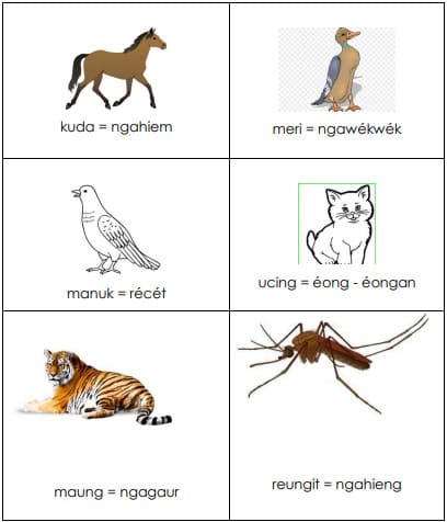 Pelajaran 2 mengenal nama dan suara hewan dalam bahasa sunda
